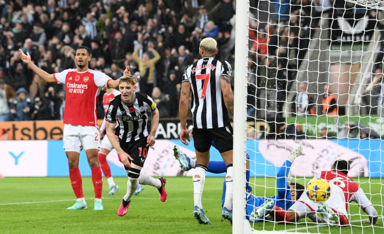 VAR got it right at Newcastle and Arsenal were the lucky ones, independent panel rules